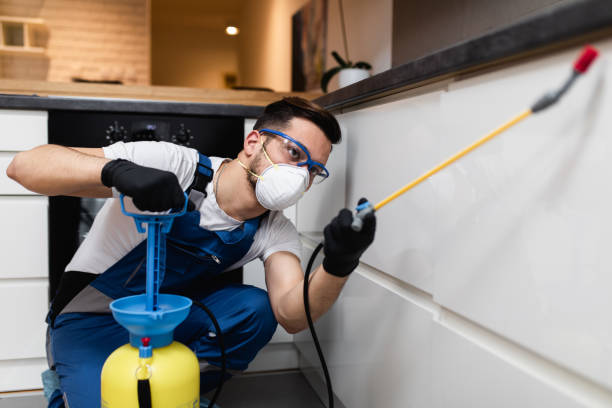 Best Residential Pest Control  in Bolivar Peninsula, TX