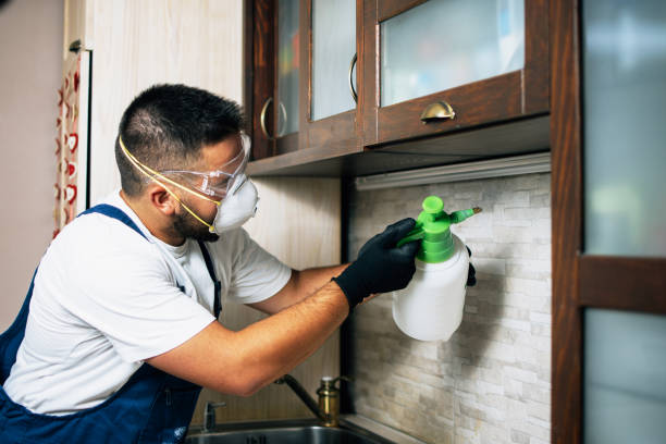 Best Commercial Pest Control Services  in Bolivar Peninsula, TX