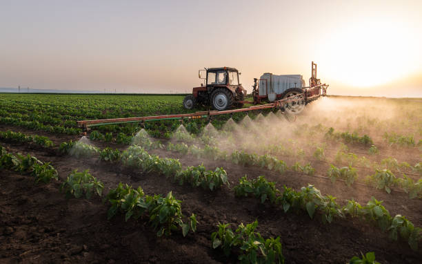 Best Best Pest Control Near Me  in Bolivar Peninsula, TX