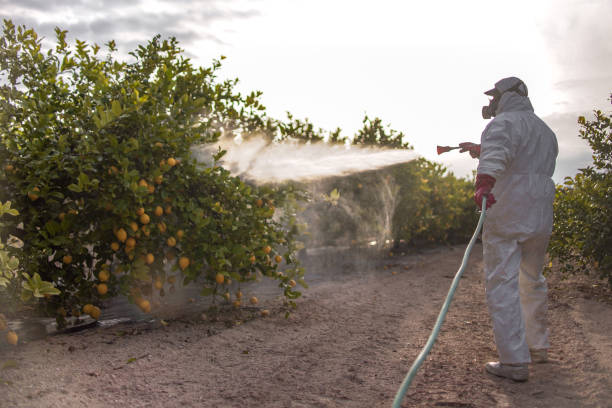 Best Cockroach Control Services  in Bolivar Peninsula, TX