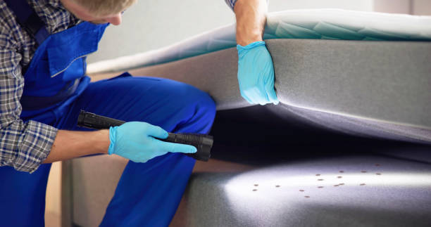 Pest Control Cost in Bolivar Peninsula, TX