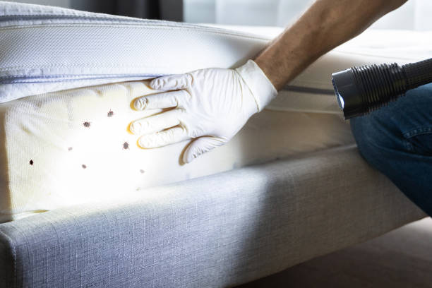Best Pest Control Cost  in Bolivar Peninsula, TX