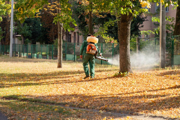 Insect Control in Bolivar Peninsula, TX