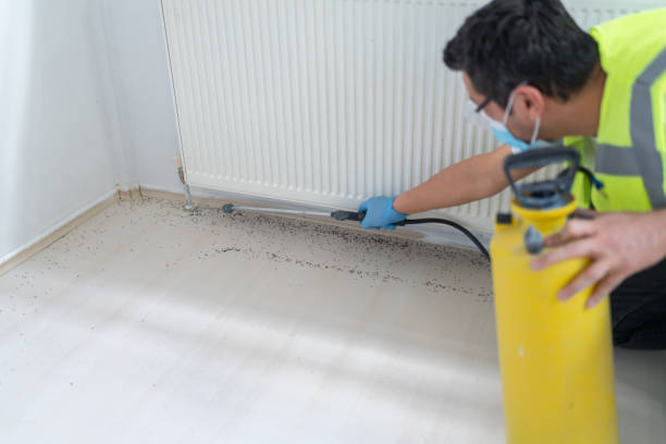 Best Pest Control for Businesses  in Bolivar Peninsula, TX