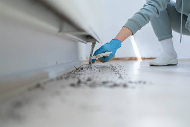 Best Commercial Pest Control Services  in Bolivar Peninsula, TX
