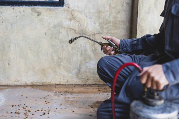 Best Best Pest Control Companies  in Bolivar Peninsula, TX
